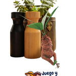Raíces de Mandrágora - Decoración Mágica para Exteriores