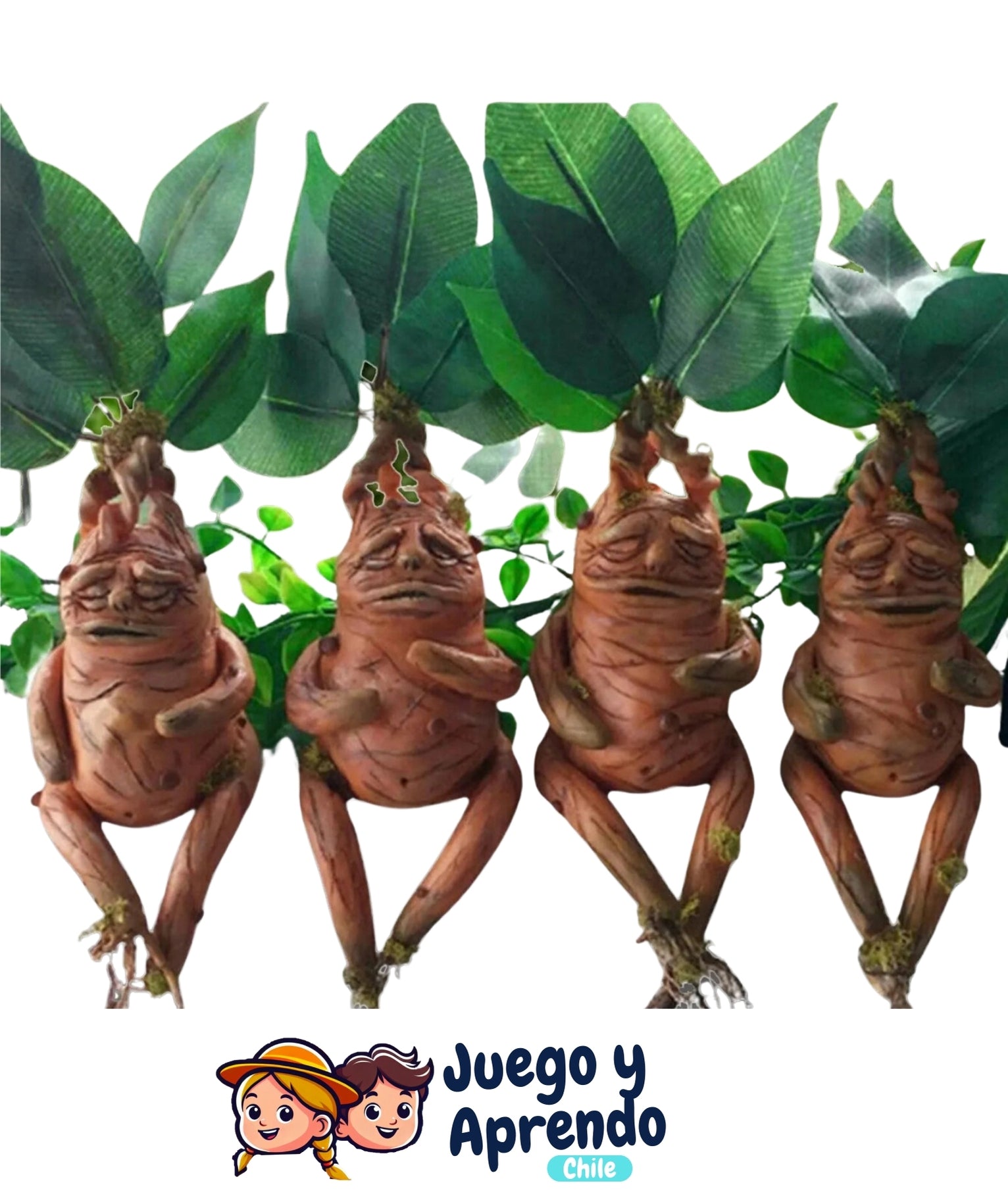 Raíces de Mandrágora - Decoración Mágica para Exteriores