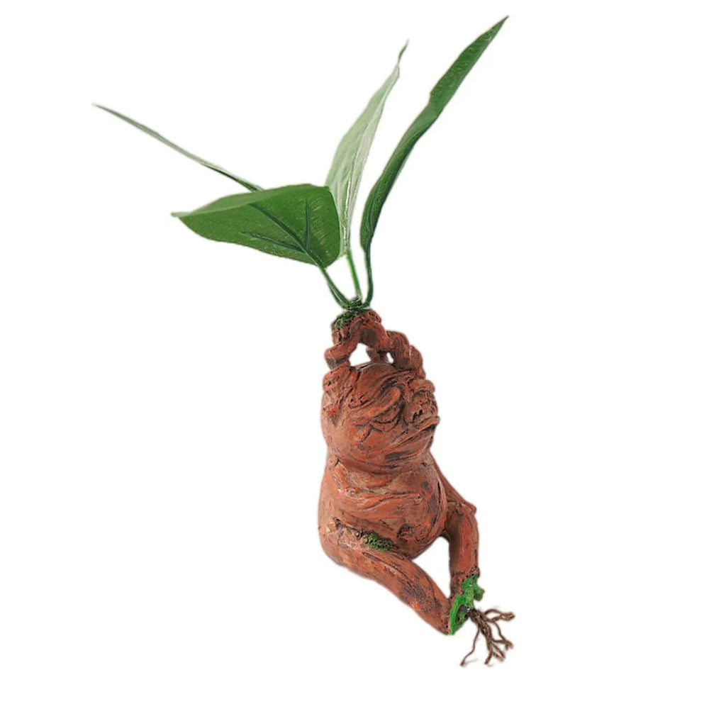 Raíces de Mandrágora - Decoración Mágica para Exteriores